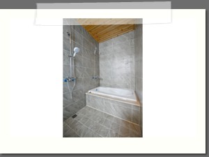 高級衛浴設備